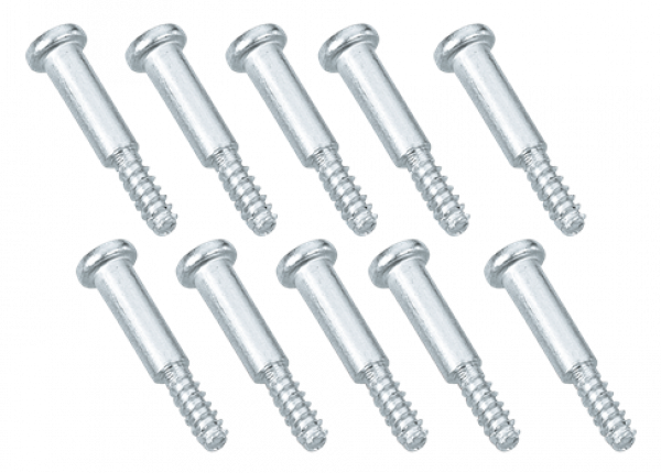 TAILLIGHT LENS SCREWS